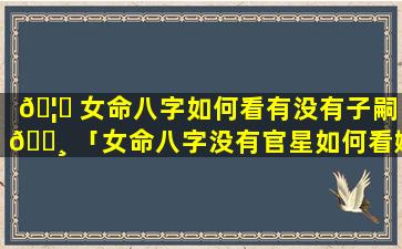 🦋 女命八字如何看有没有子嗣 🕸 「女命八字没有官星如何看姻缘」